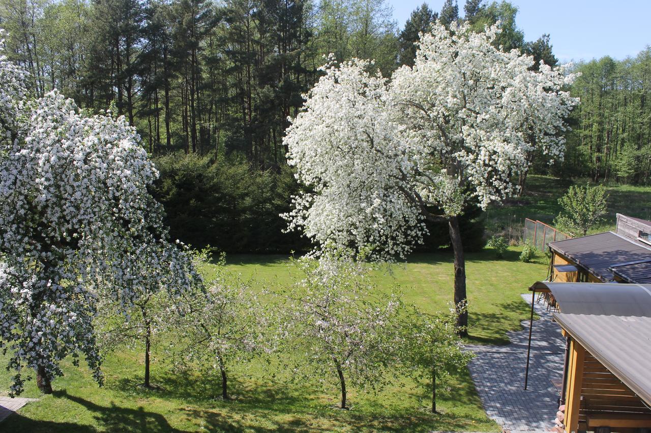 Paliepgiris Hotel Palanga Luaran gambar